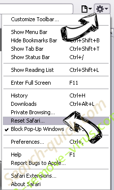 RSA 4096 Virus Safari reset menu