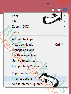 SD App Chrome Extension IE options