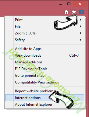 PC Clean Plus IE options