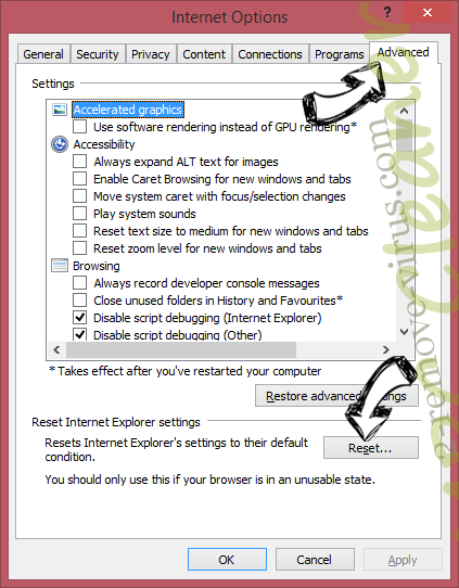 RSA-4096 Virus IE reset browser