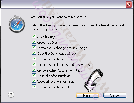 PPS Video Player Safari reset