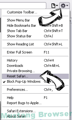 weatherforecastsearch.com Safari reset menu