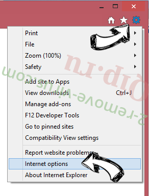 WinThruster IE options