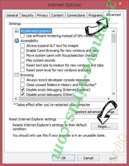 WinThruster IE reset browser