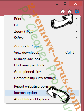 PC Cleaner Pro Virus IE options