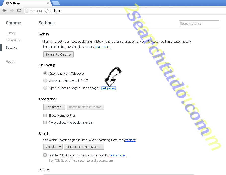 Searchtudo.com Chrome settings