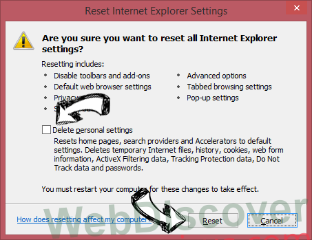 WebDiscover IE reset