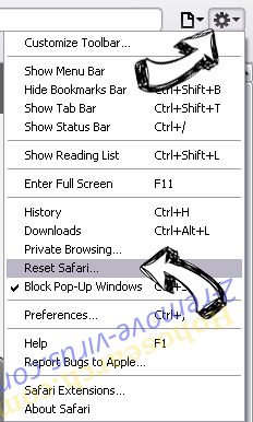 AccessibilityDock Safari reset menu