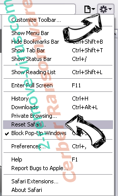 TTWiFi Safari reset menu