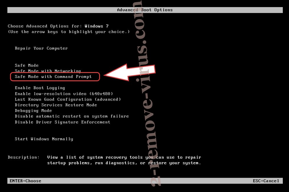 Remove .SKUNK File Virus - boot options