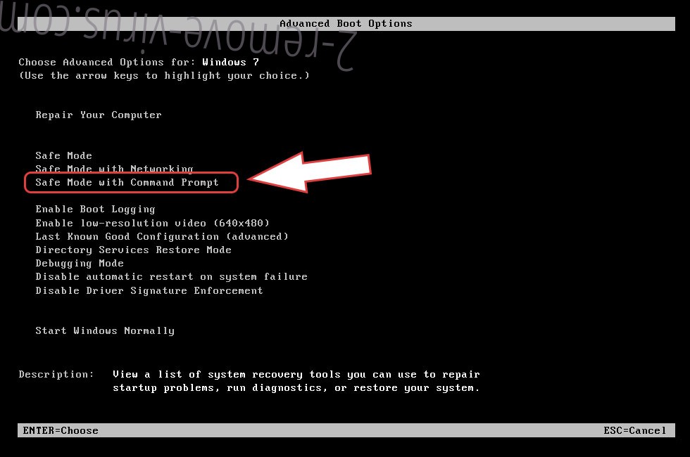 Remove Selena Ransomware - boot options