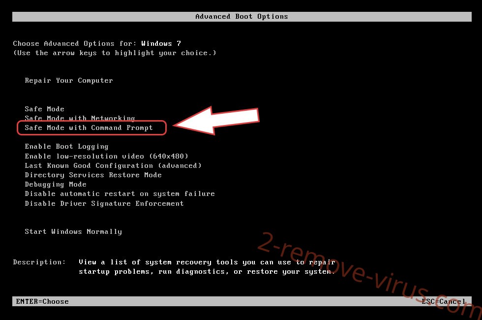 Remove .credo virus - boot options