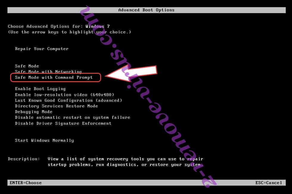 Remove Payfast Virus - boot options