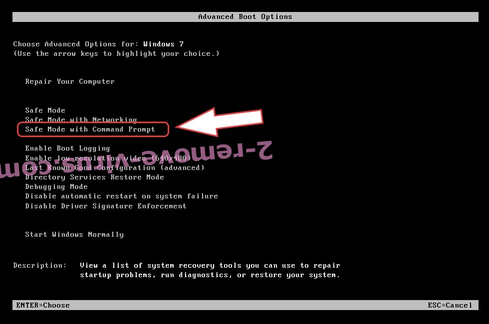 Remove Noblis ransomware - boot options