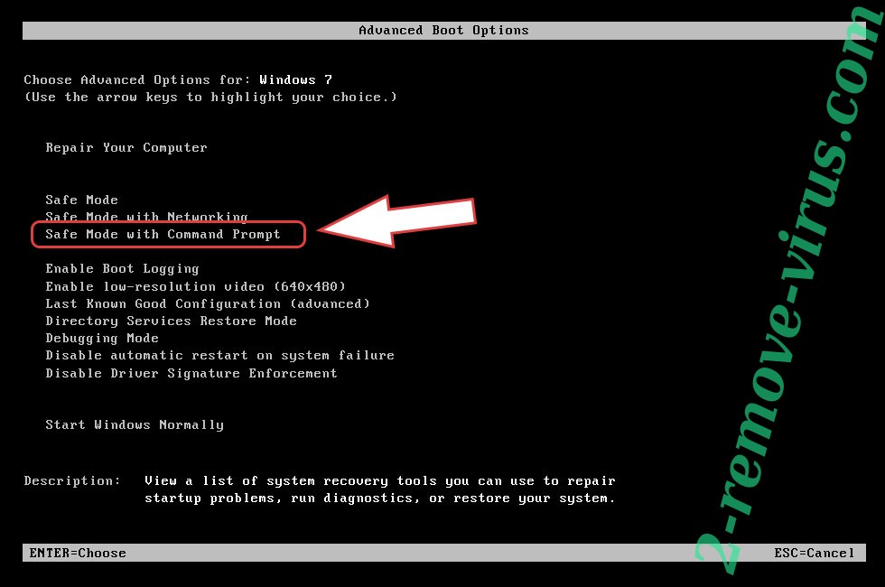 Remove CTRM Ransomware - boot options