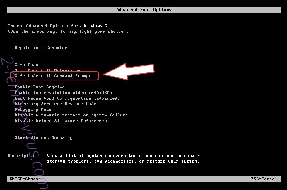Remove Sapp ransomware - boot options