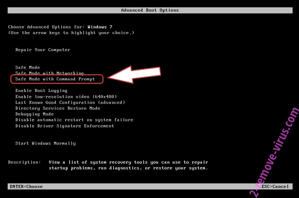 Remove .NEVADA Ransomware Virus - boot options