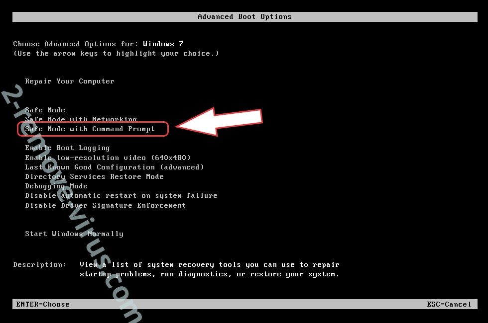 Remove Cylance Ransomware Virus - boot options