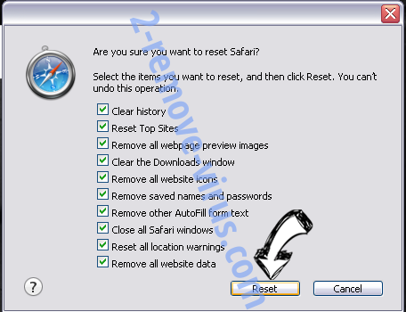 Dailyfileconverter Redirect Virus Safari reset
