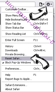 Tech-Connect.biz Safari reset menu