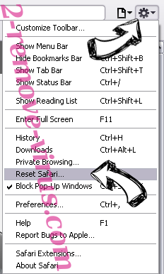 HowToBleases.xyz Safari reset menu