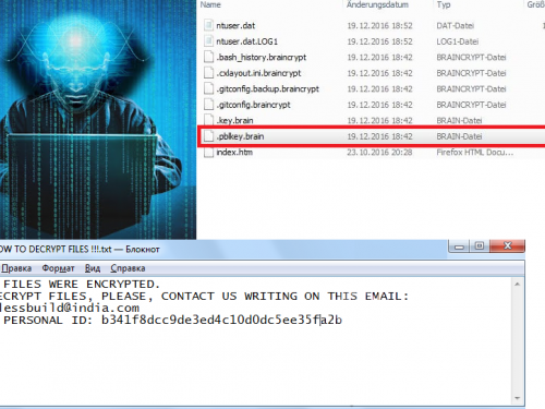 Braincrypt Ransomware retiro