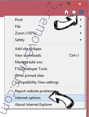 Object Browser IE options