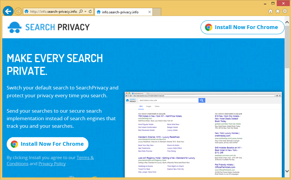 search-privacy
