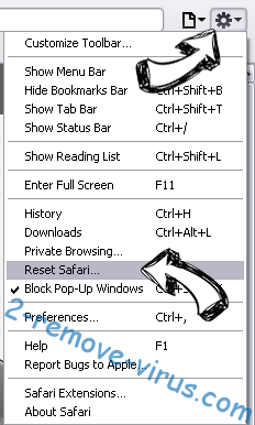 Terrout6.biz Safari reset menu