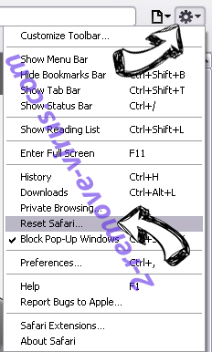 Teeion.com Safari reset menu