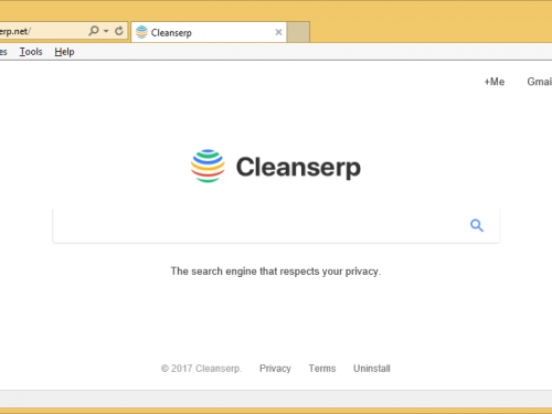 Che cosa è Cleanserp.net?