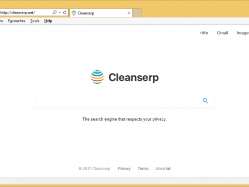 Cleanserp.net rimozione