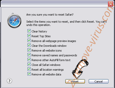 NavSmart Safari reset