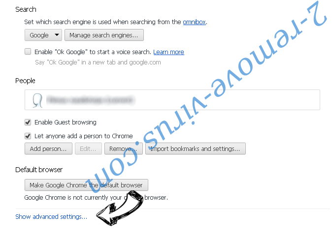 MetroWhiz Toolbar Chrome settings more