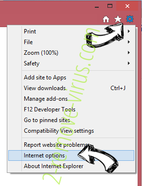 MetroWhiz Toolbar IE options