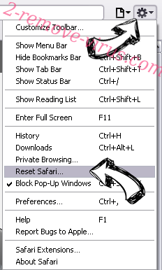 MetroWhiz Toolbar Safari reset menu