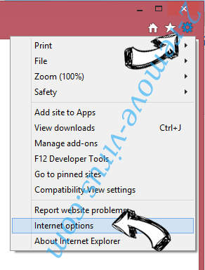 Spigot Toolbar IE options