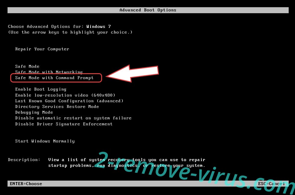 Remove LokiBot Virus - boot options