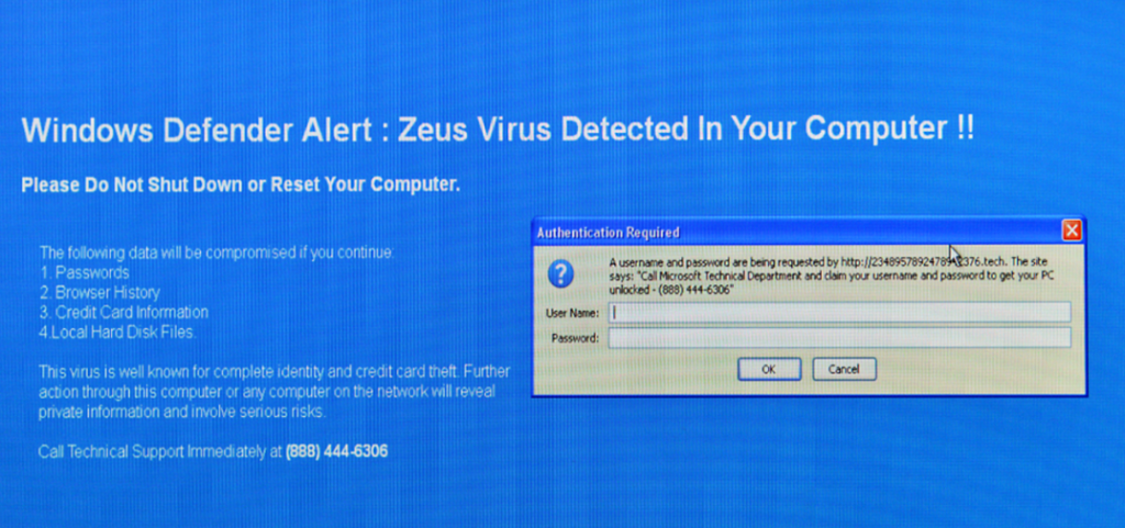 zeus virus