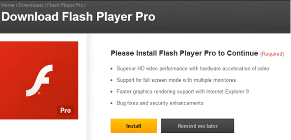Flash Player Pro Virus