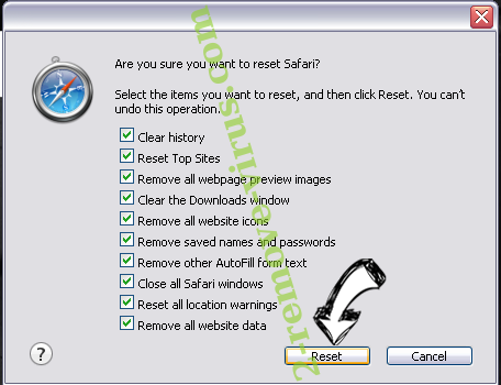 Dridex virus Safari reset