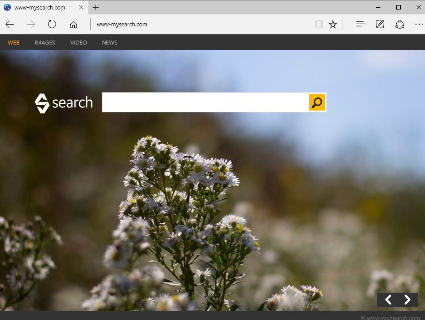 Bing Search Redirect