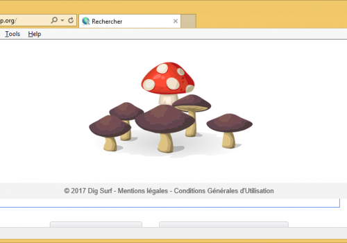 Dig.coinup.org rimozione