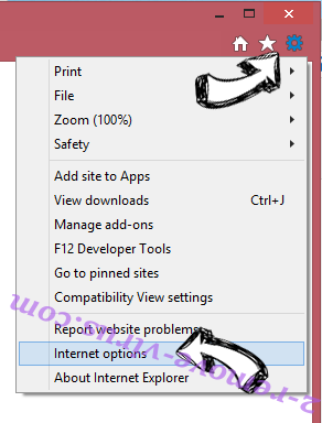 GifaPalooza Toolbar IE options