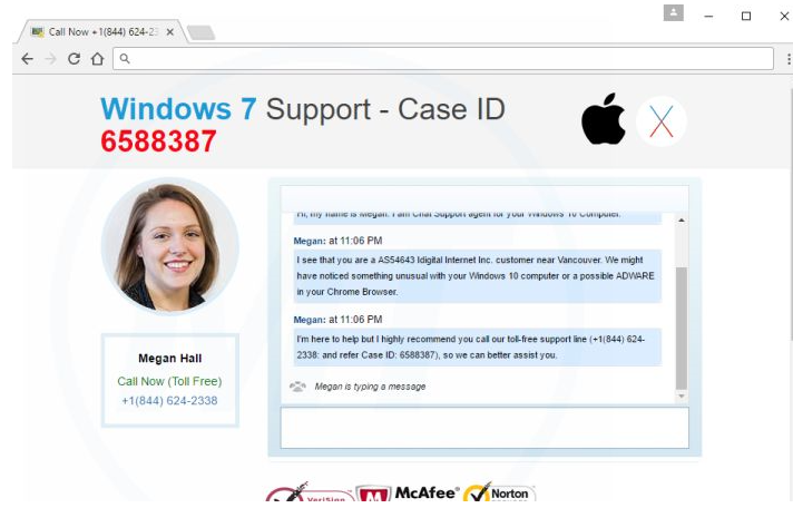 Call Support For Windows