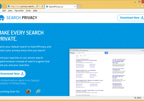 Privacy-Search.one – come rimuovere?