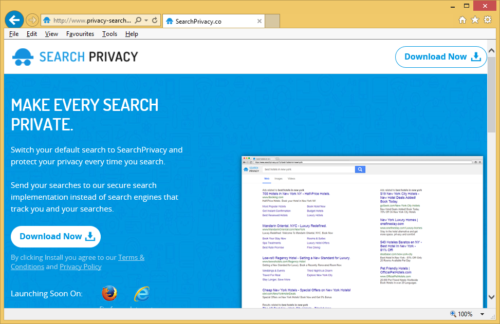 Privacy-Search