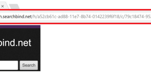 Rimuovere Search.searchbind.net virus