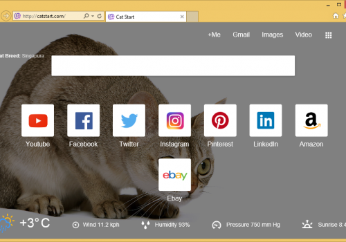 Catstart.com rimozione