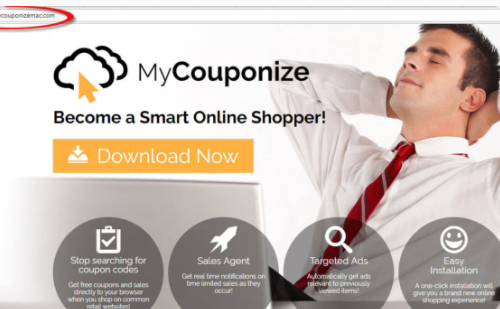 Remove My Couponize Ads